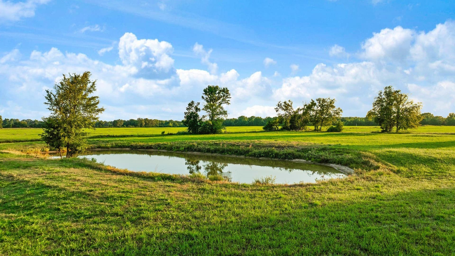 90.2 acres in Red River (TX) County - photo 22