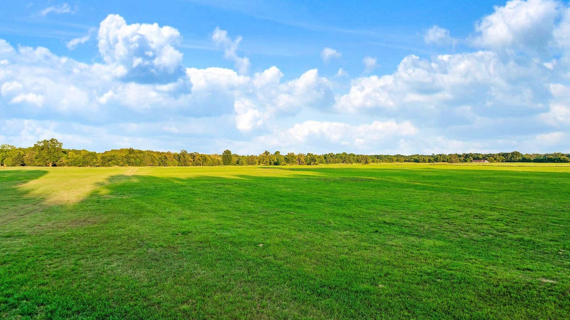 90.2 acres in Red River (TX) County - photo 18