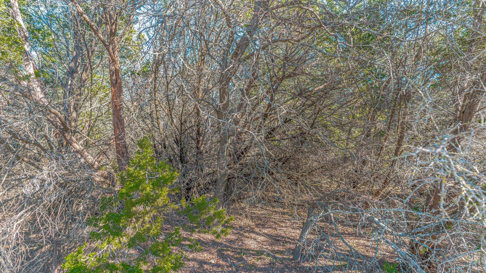 0.28 acres in Hill County - photo 13