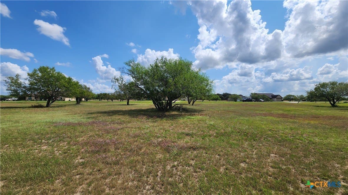 1.5 acres in Victoria County - photo 13