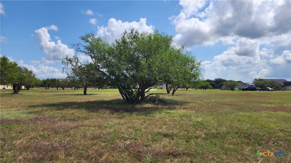 1.5 acres in Victoria County - photo 14