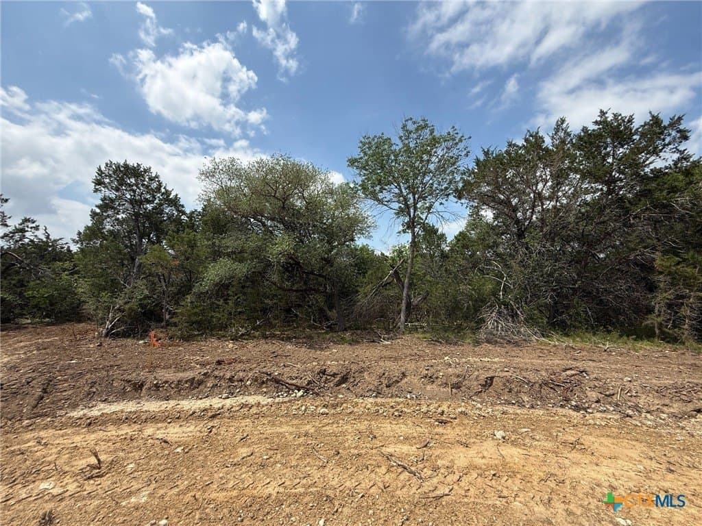 0.75 acres in Bell County gallery image 3