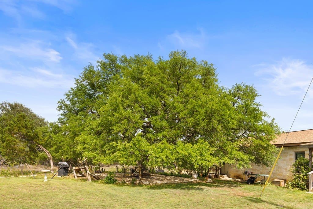 18.96 acres in Hays County - photo 14