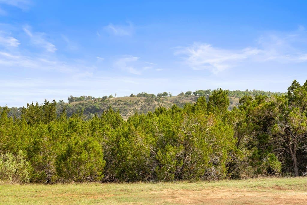18.96 acres in Hays County - photo 11