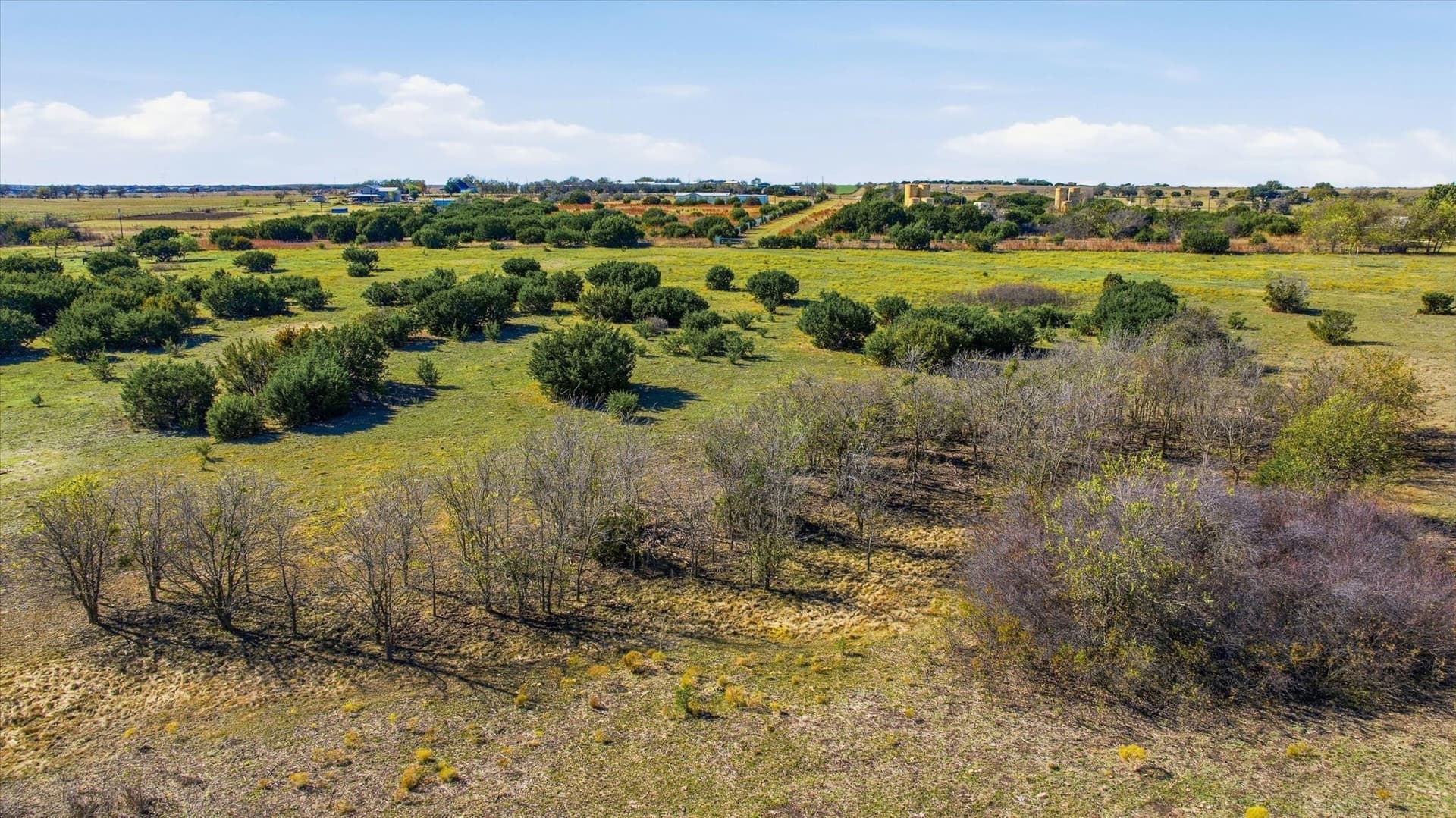 55.96 acres in Johnson County - photo 21