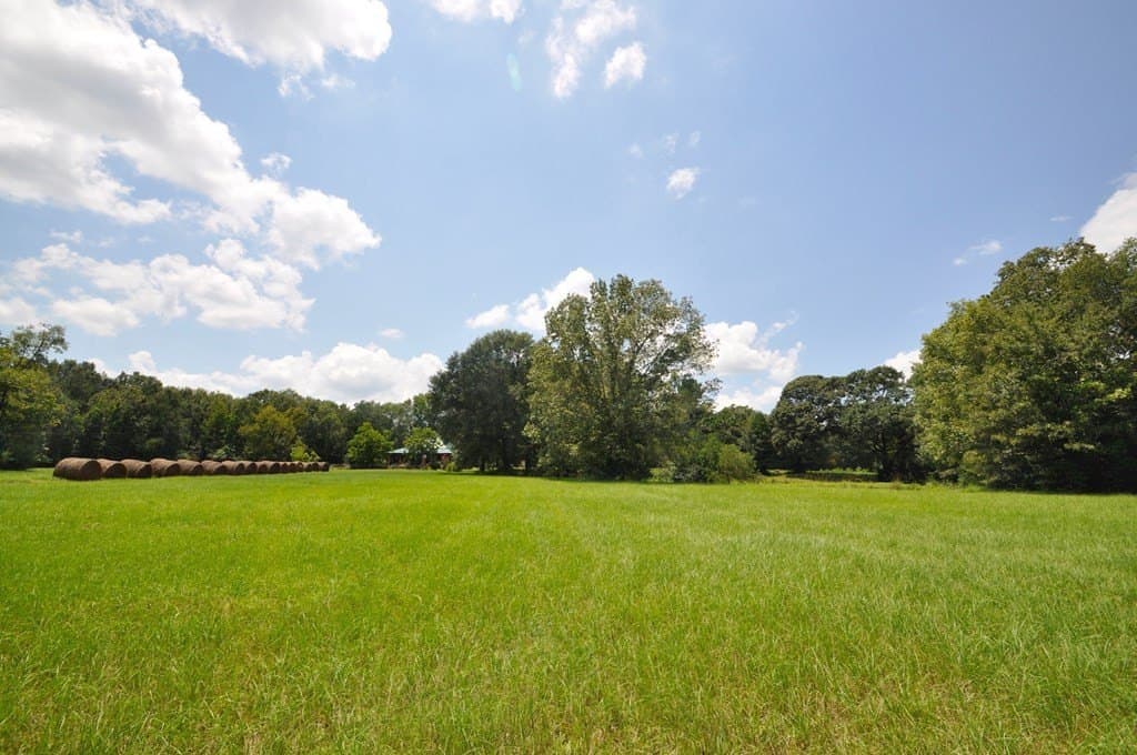 94.69 acres in Texas County featured view