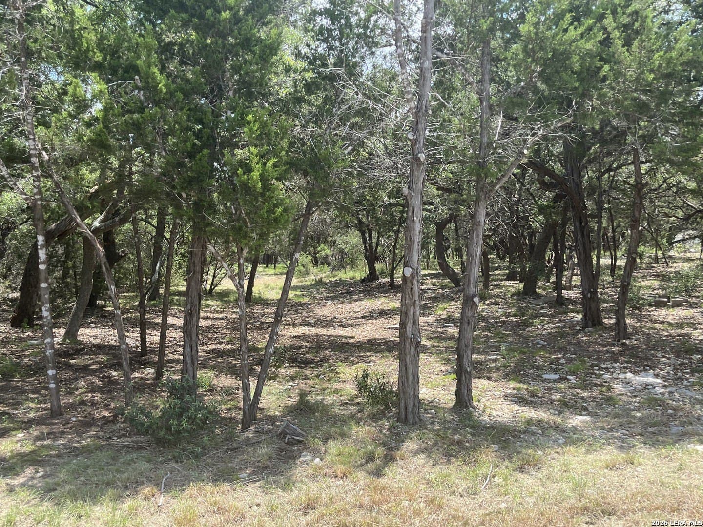 1.1 acres in Comal County gallery image 2