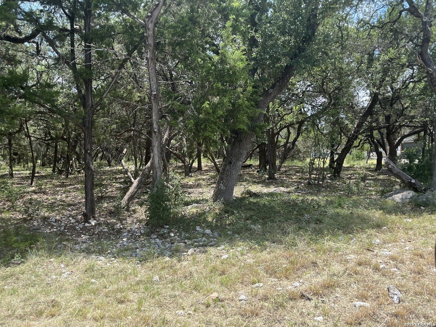1.1 acres in Comal County gallery image 3