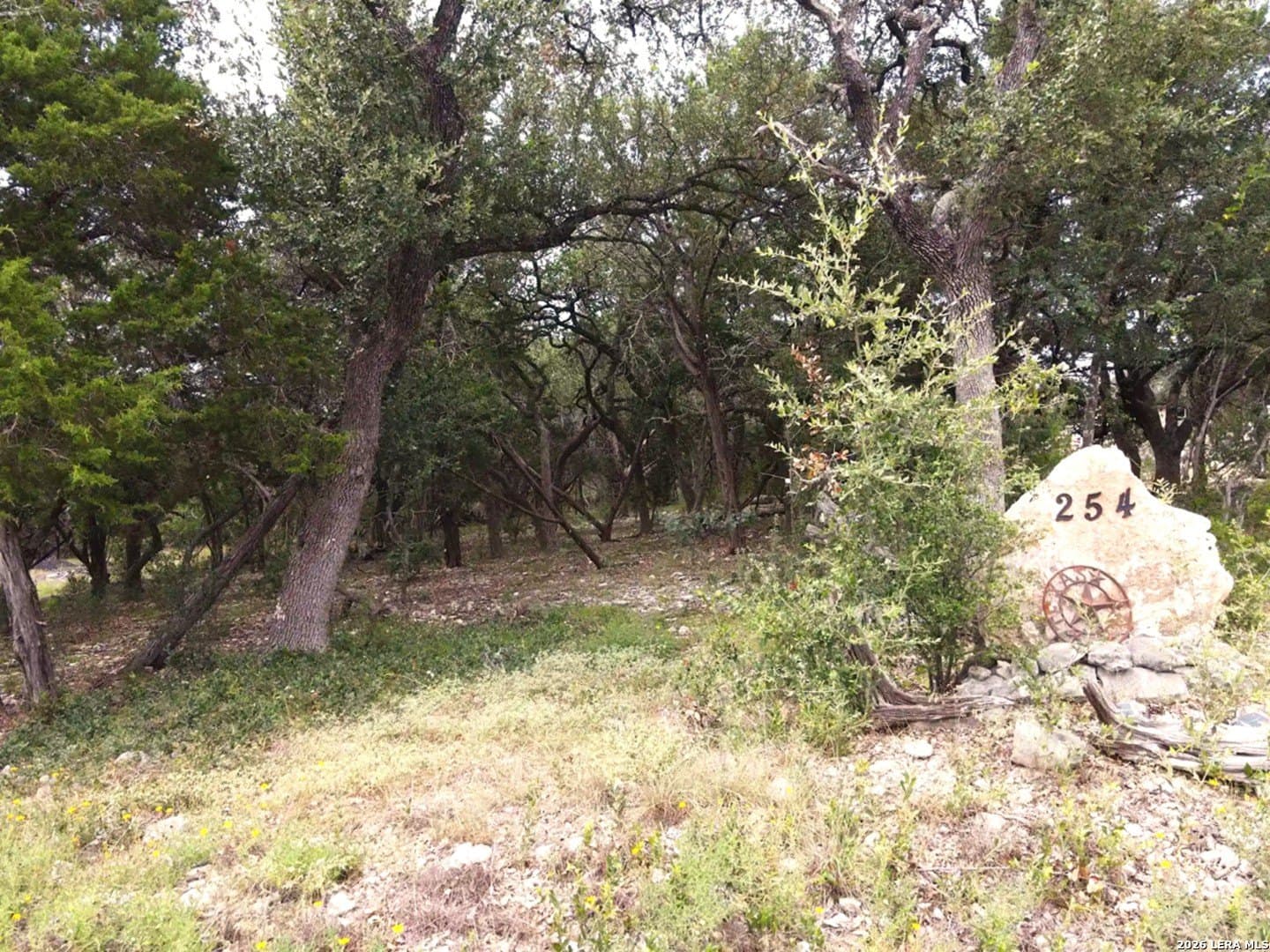 1.1 acres in Comal County - photo 20