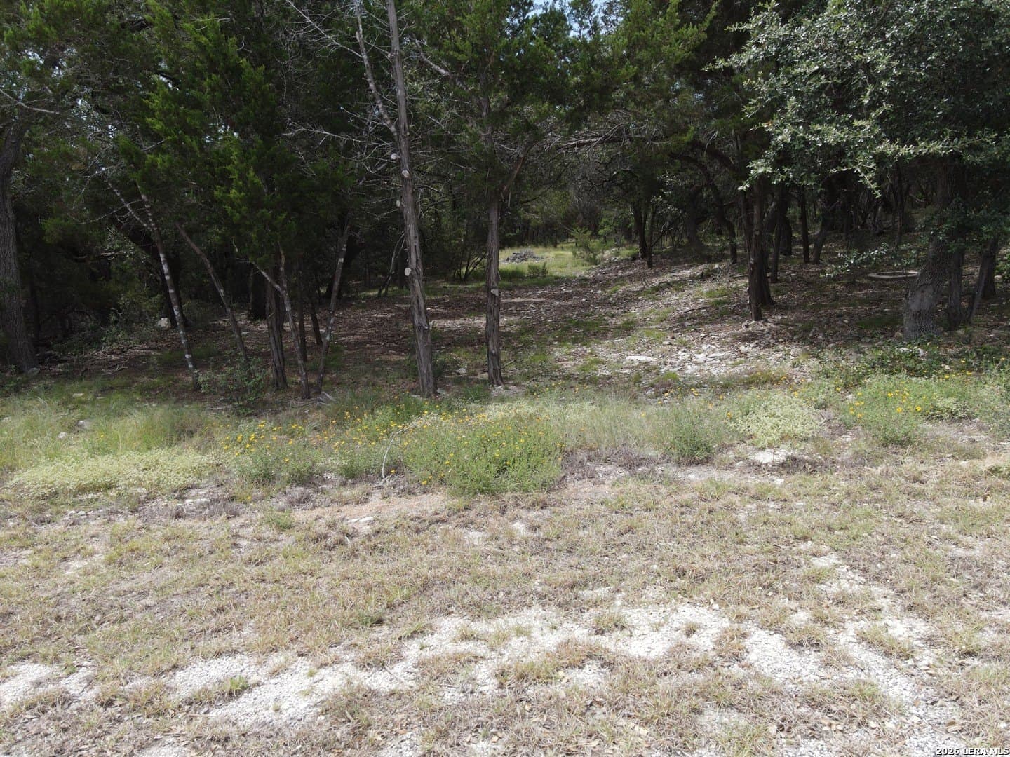 1.1 acres in Comal County - photo 7