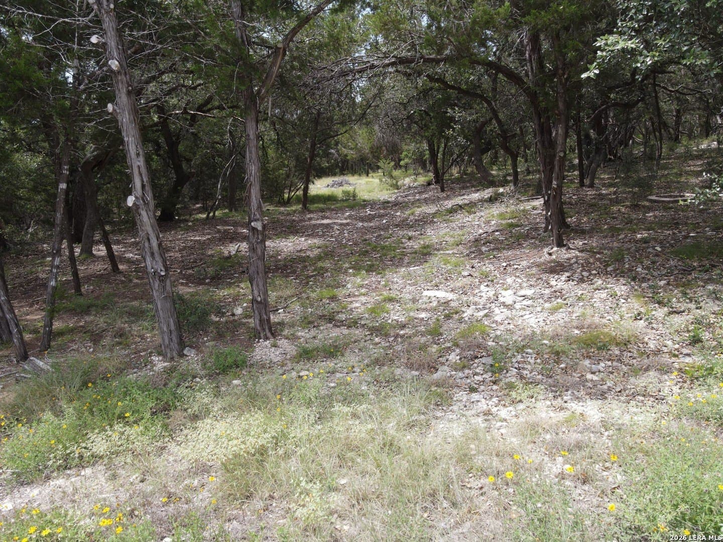 1.1 acres in Comal County - photo 6