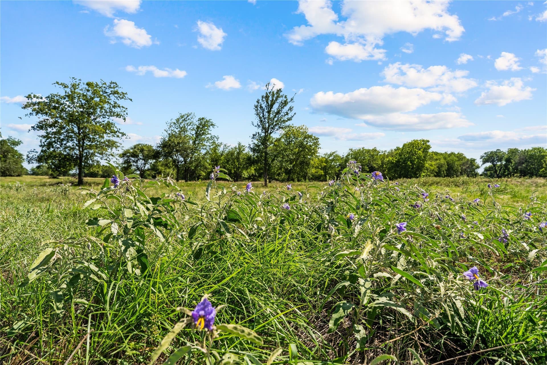3.16 acres in Hill County - photo 2