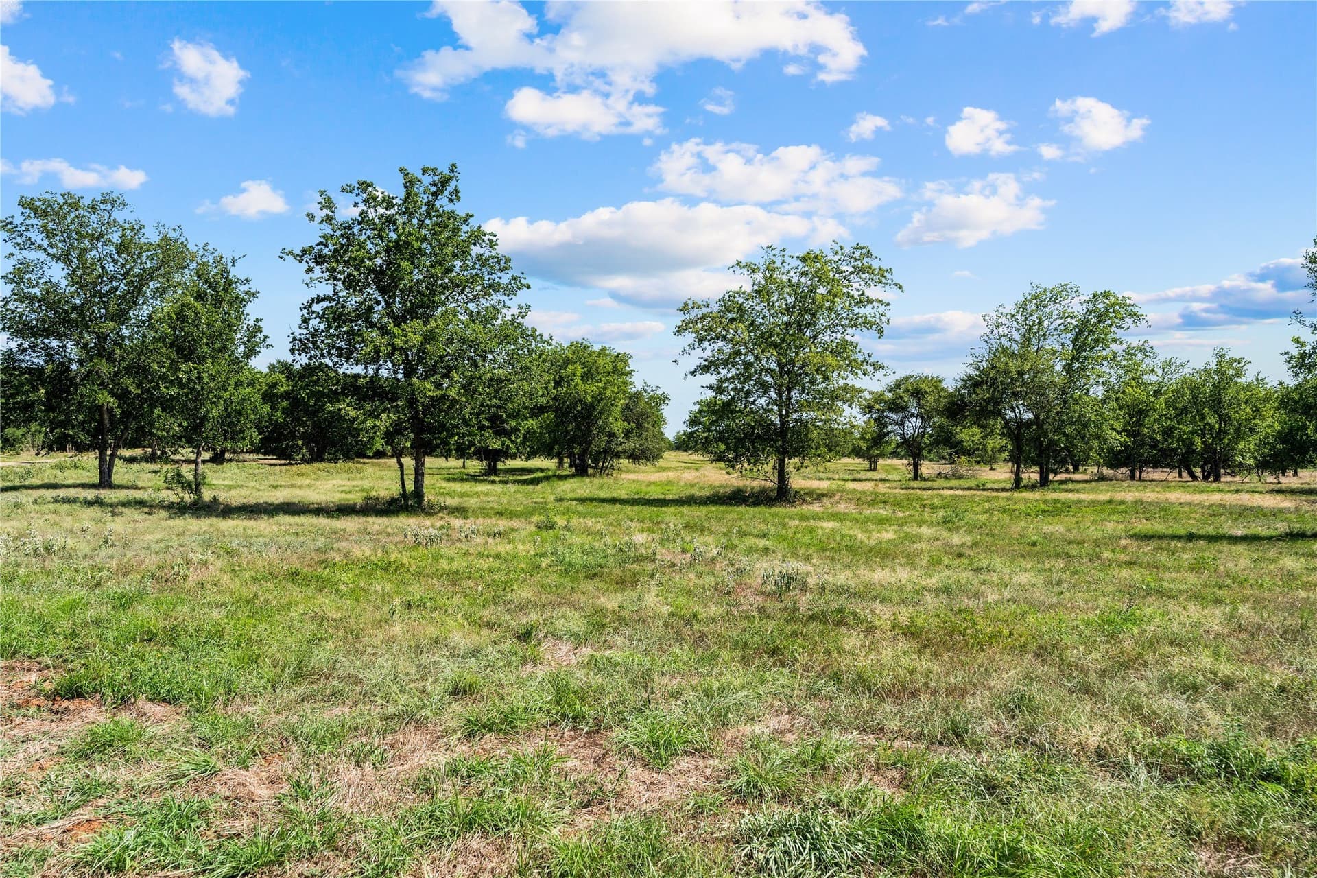 3.16 acres in Hill County - photo 3