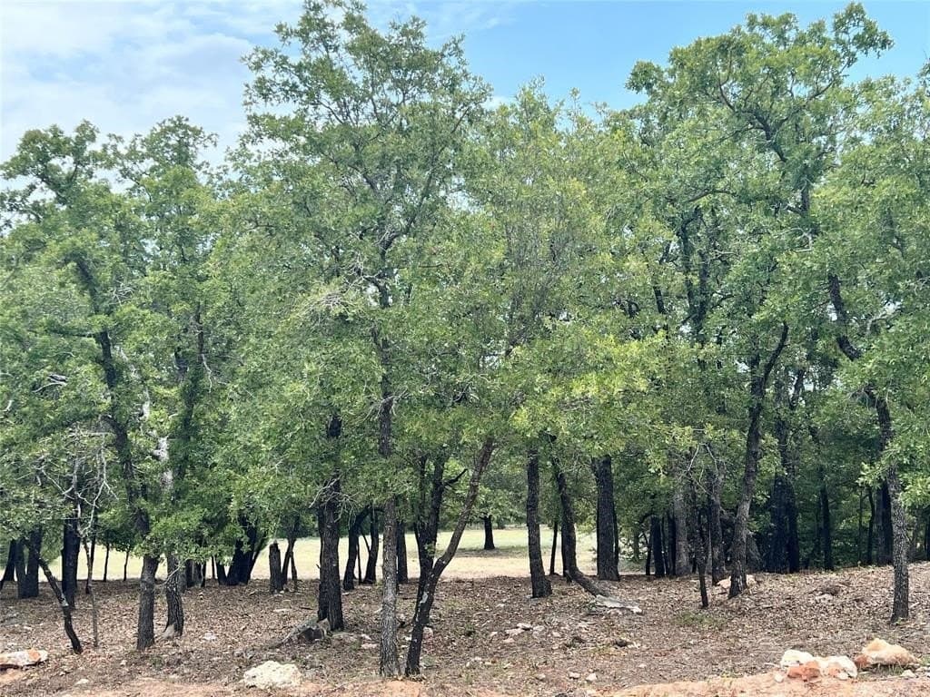 2.01 acres in Wise County - photo 3