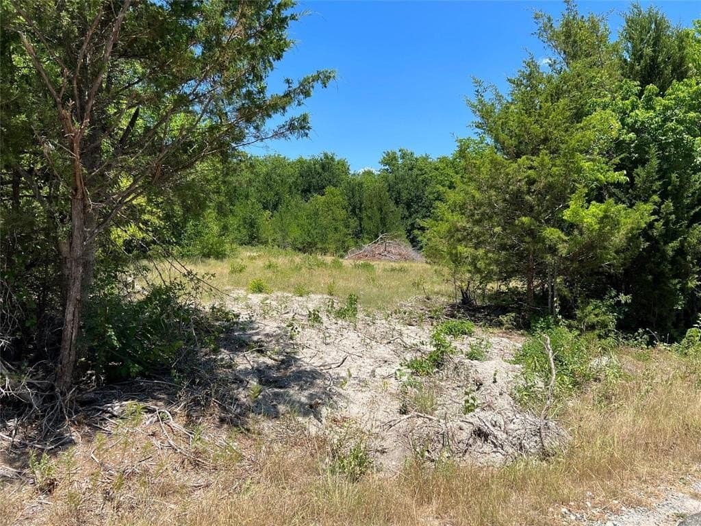 22.73 acres in Grayson County gallery image 2