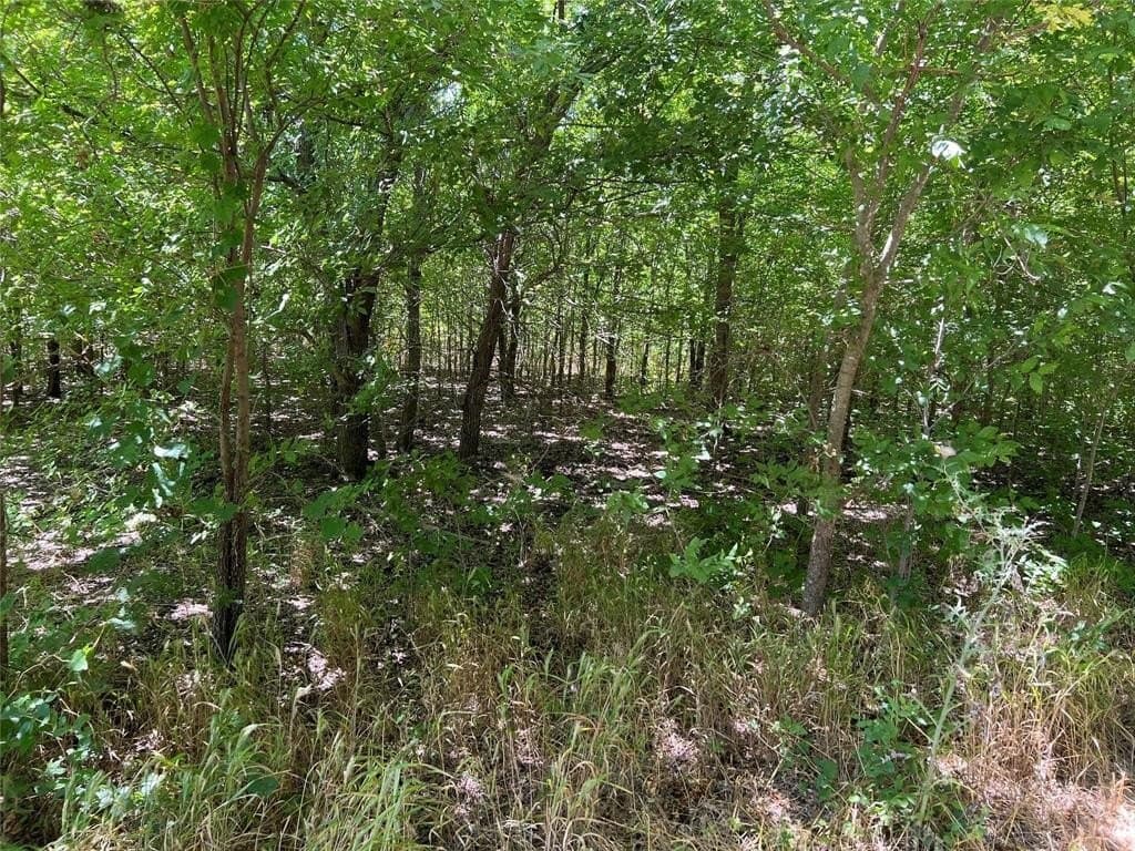 22.73 acres in Grayson County gallery image 4