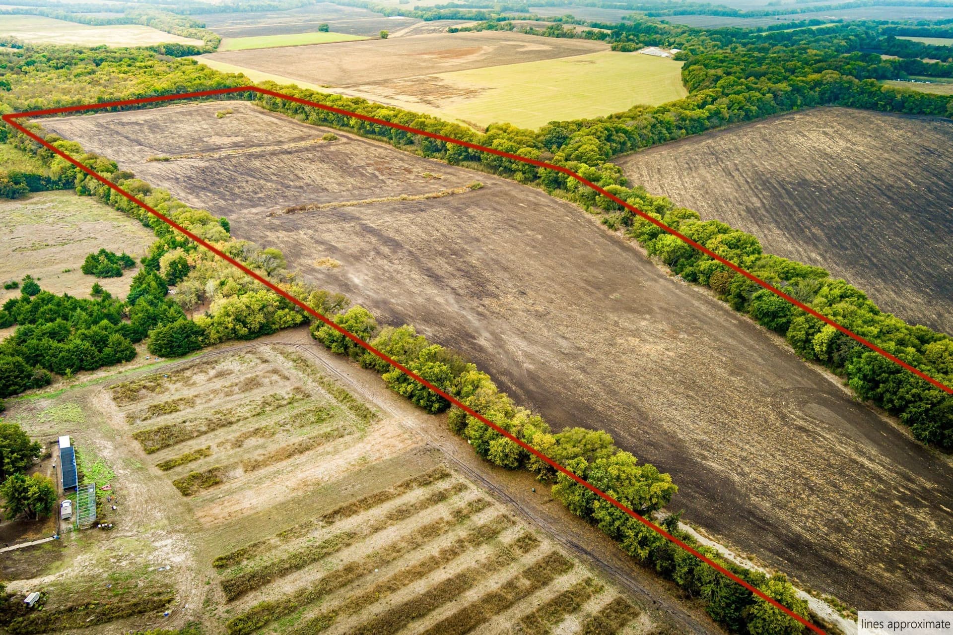 54.76 acres in Fannin County - photo 10