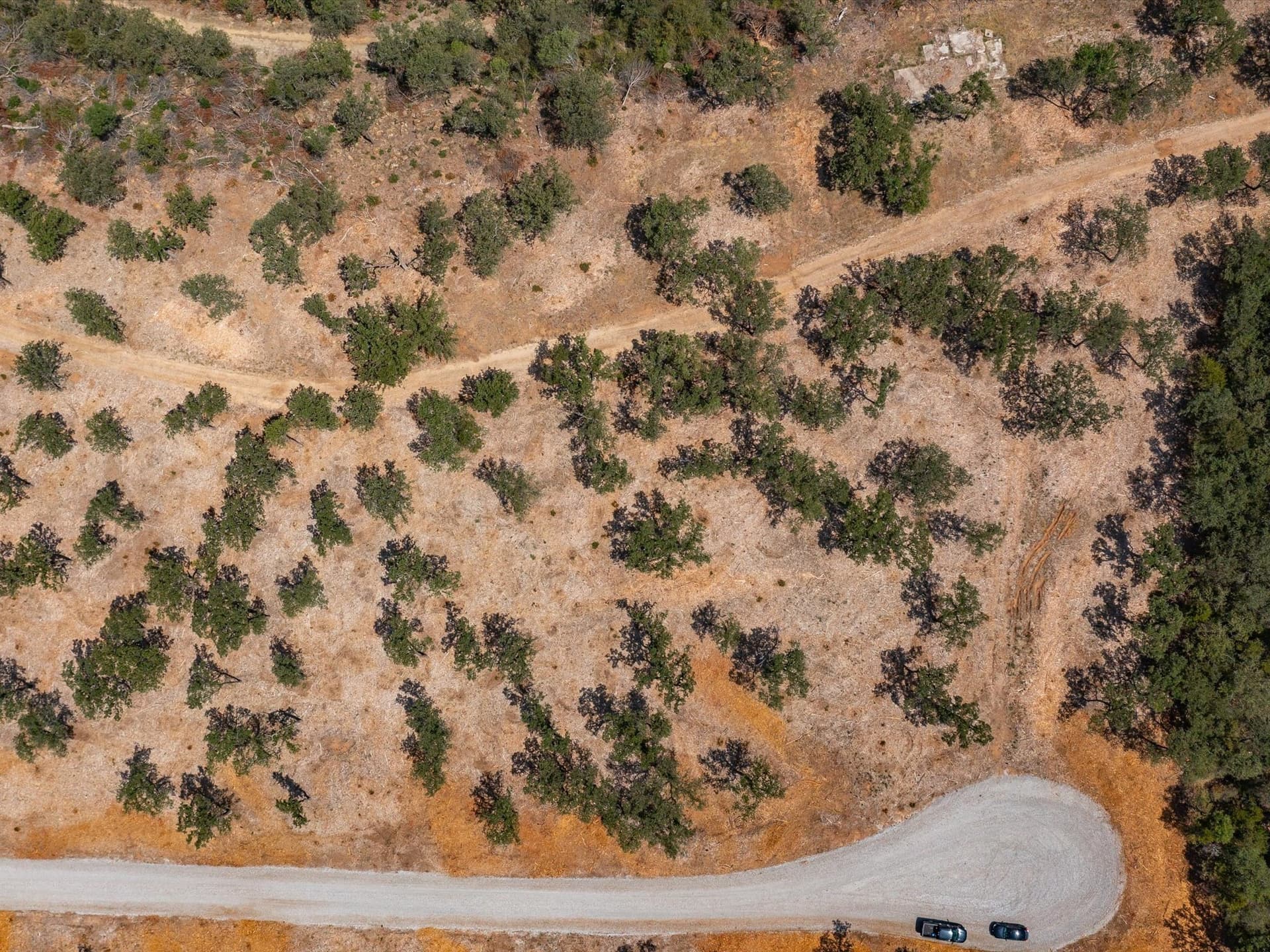 2 acres in Montague County - photo 8