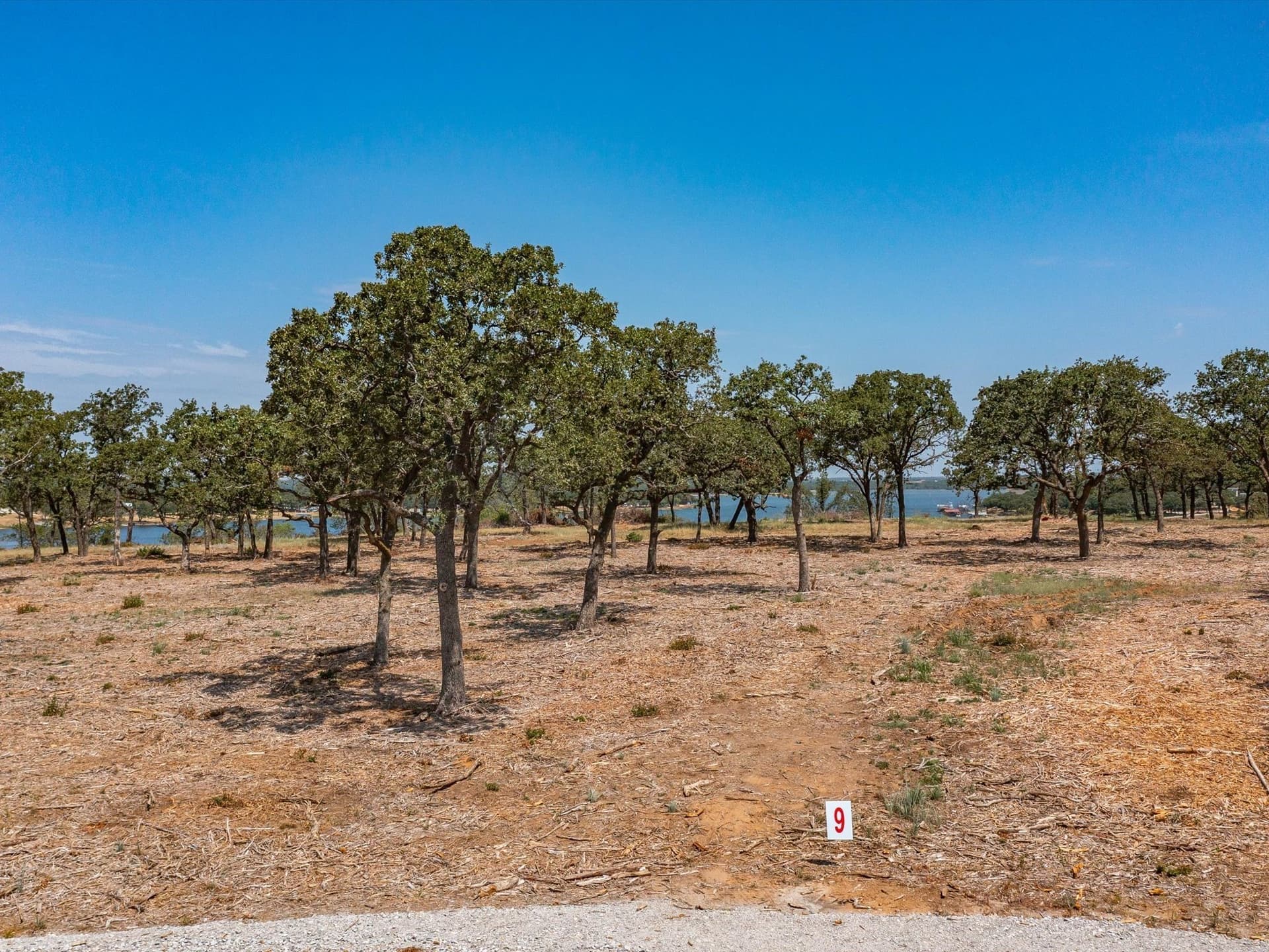 2 acres in Montague County gallery image 3
