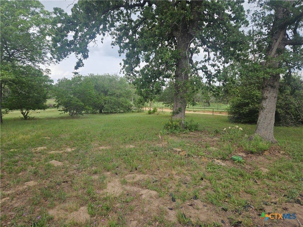 42.56 acres in Milam County gallery image 4