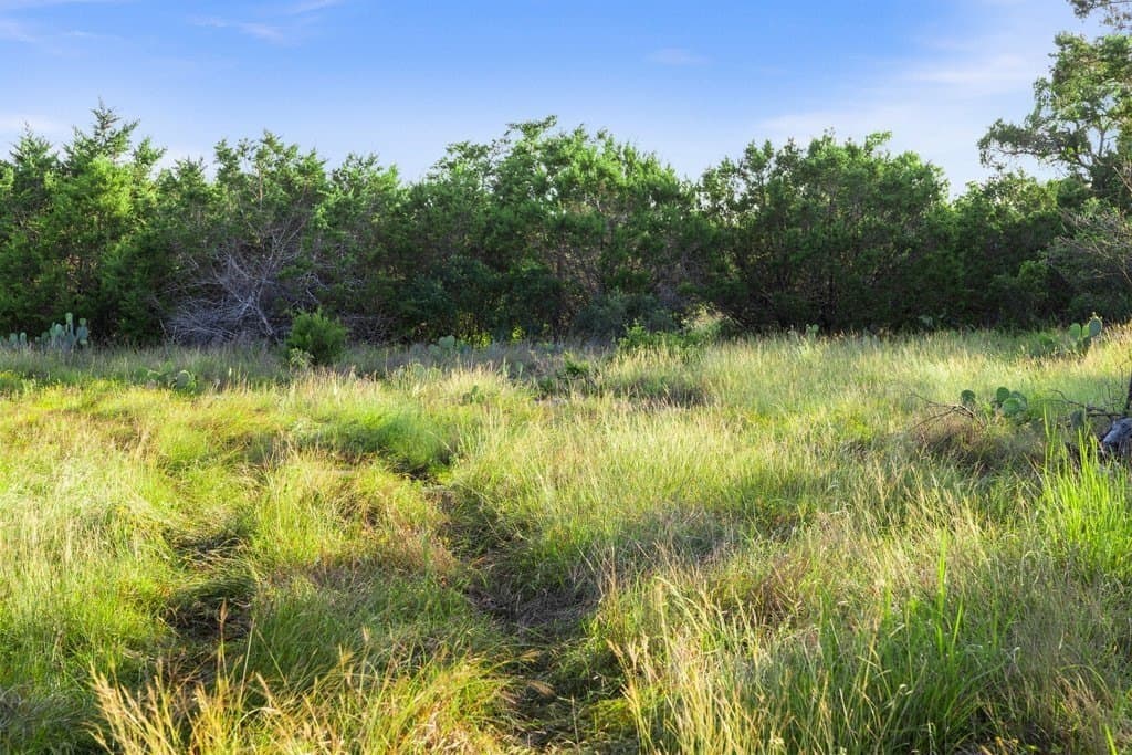 615 acres in Williamson County - photo 35