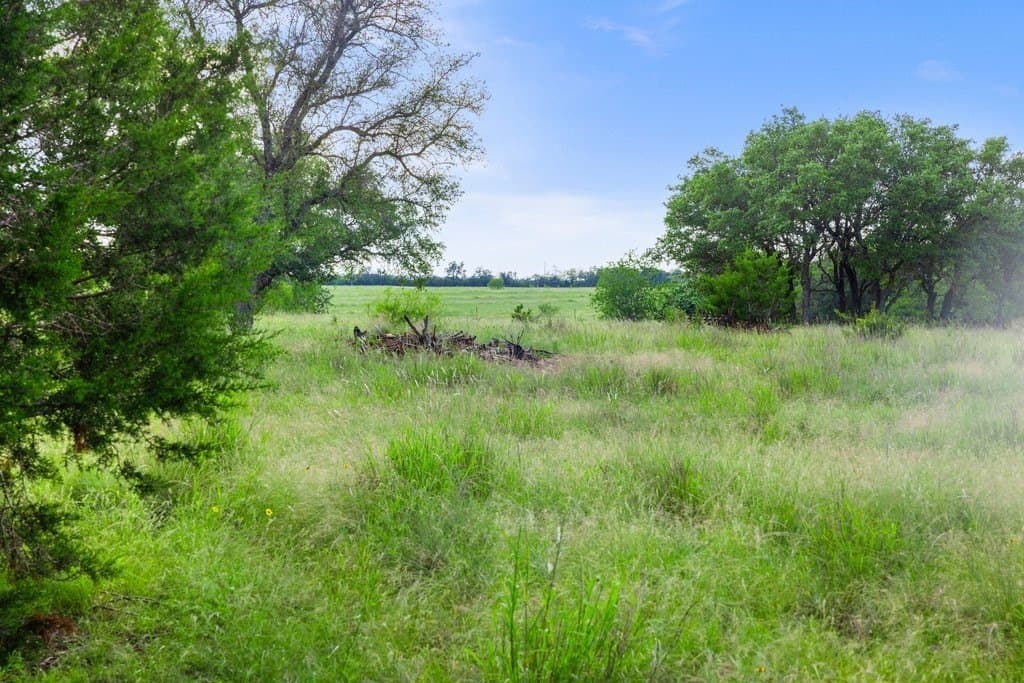 615 acres in Williamson County - photo 31