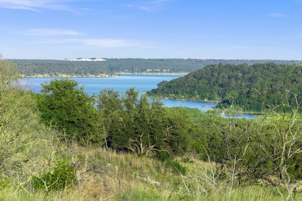 615 acres in Williamson County - photo 6