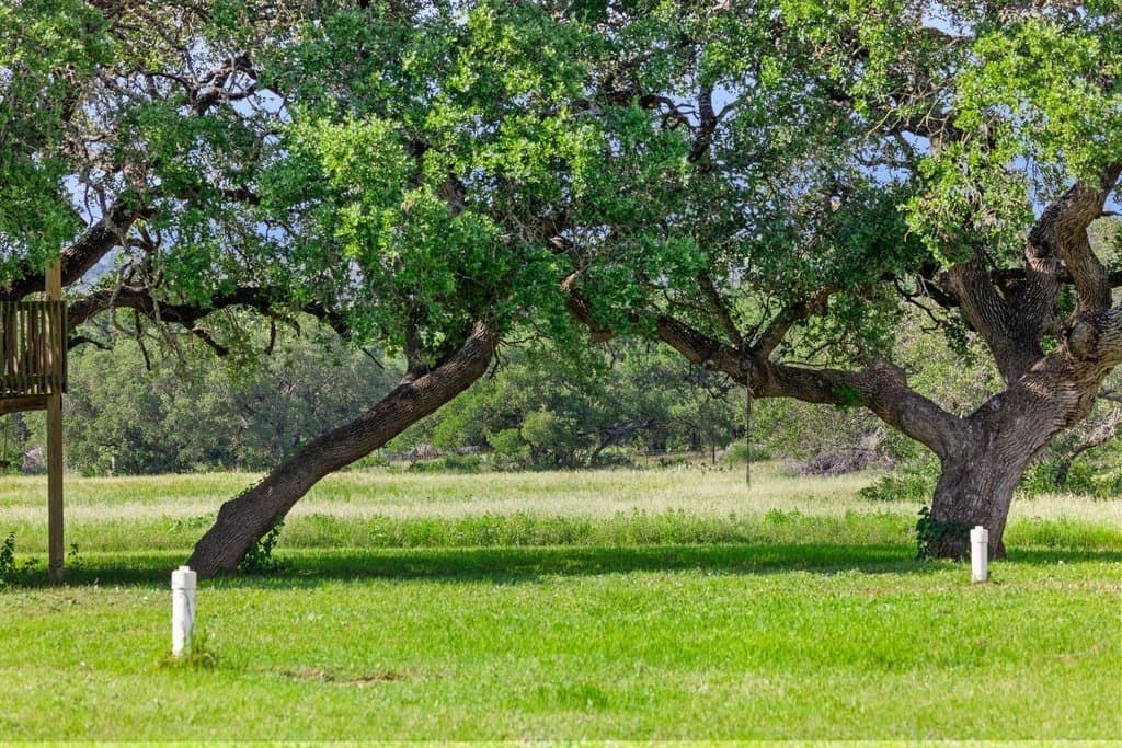 615 acres in Williamson County - photo 37