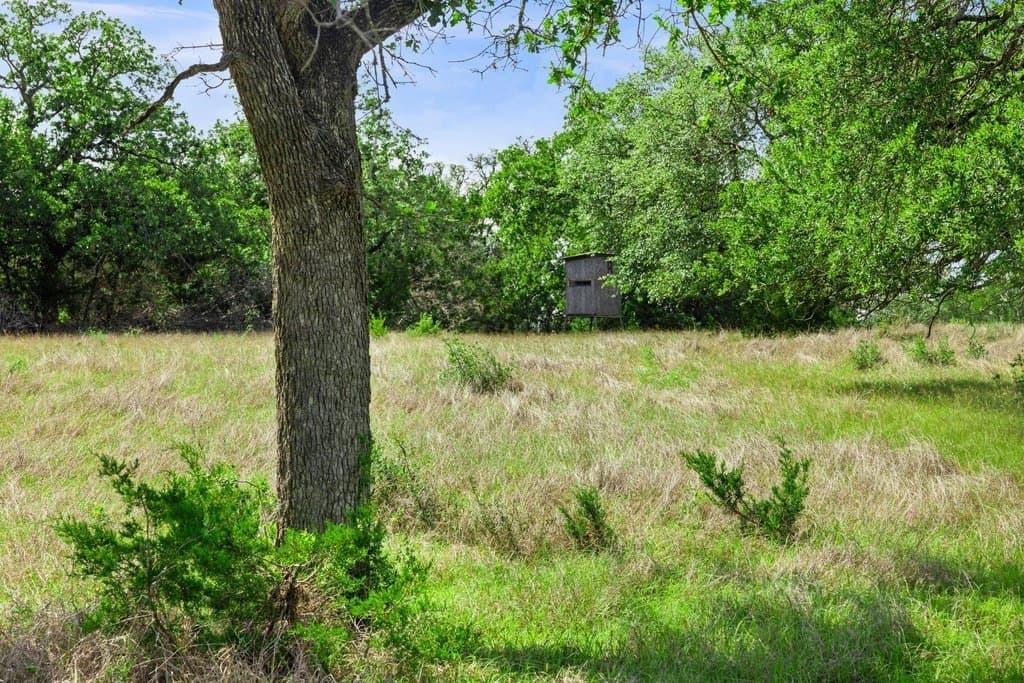 615 acres in Williamson County - photo 25