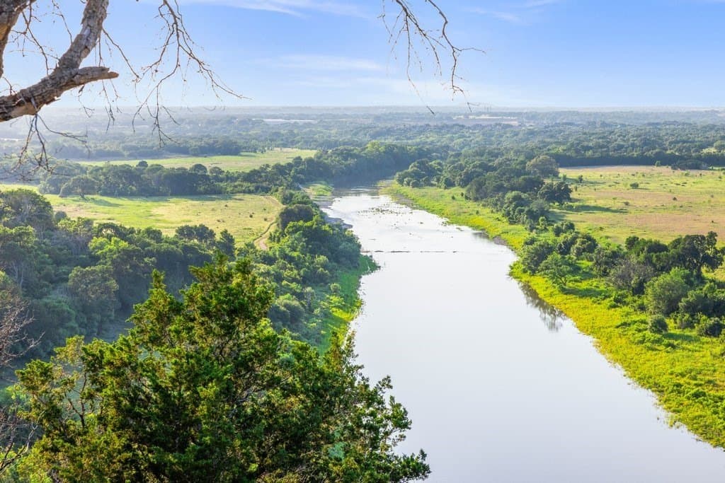 615 acres in Williamson County gallery image 4