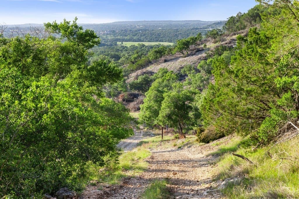 615 acres in Williamson County - photo 32