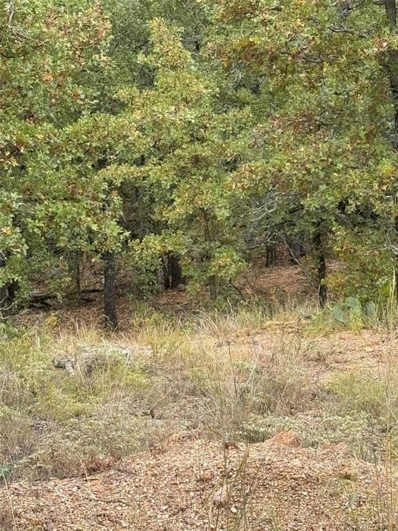 20.72 acres in Comanche County featured view