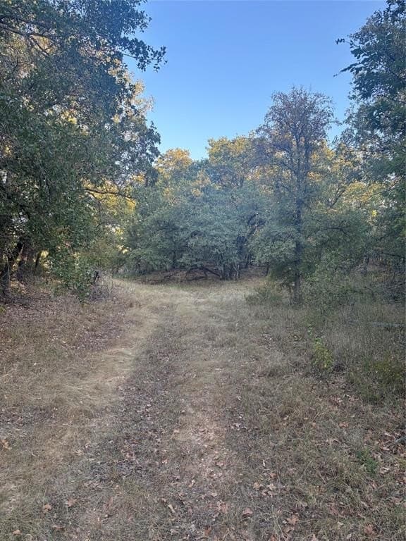 20.72 acres in Comanche County gallery image 4