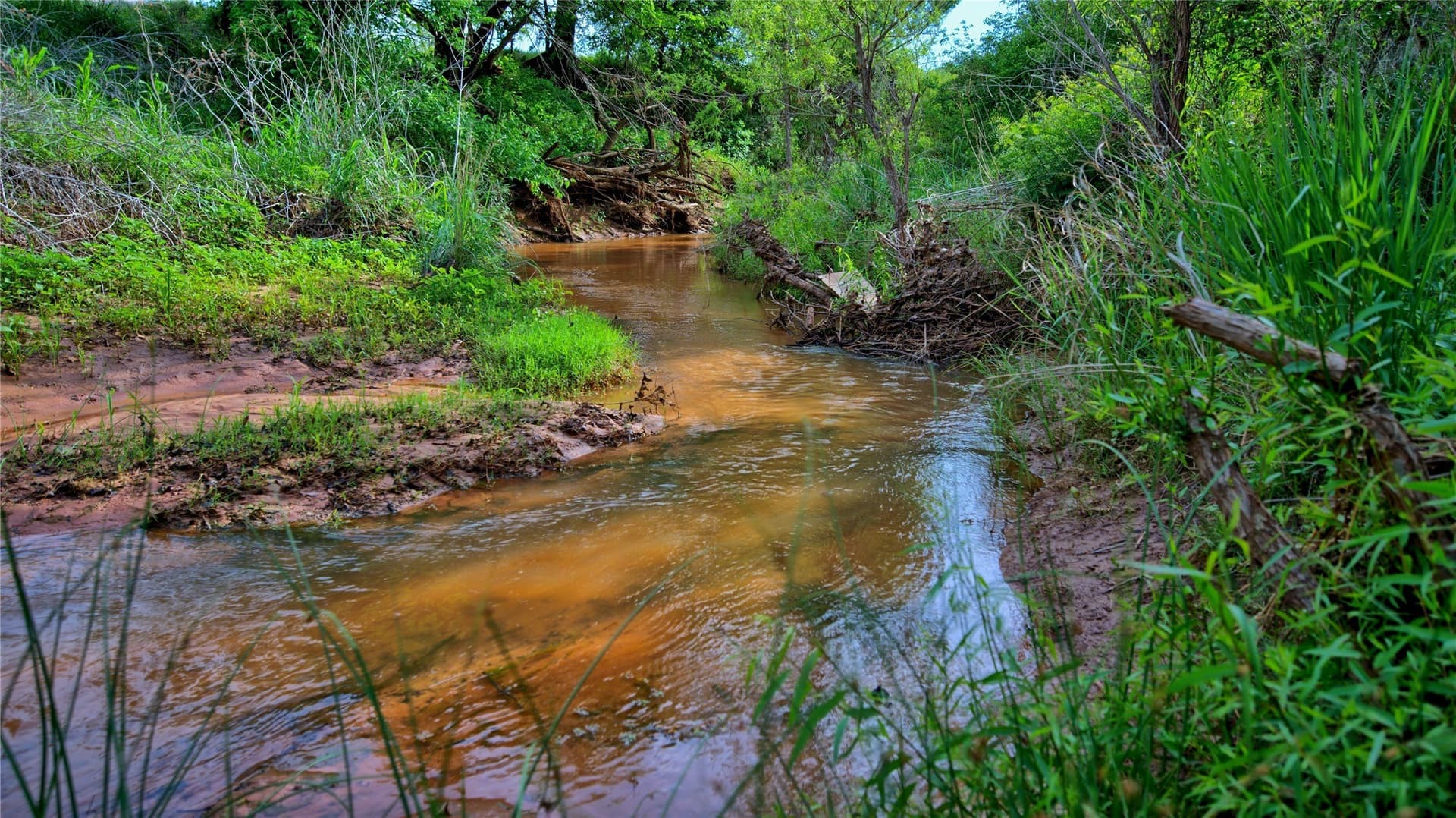 25.88 acres in Montague County - photo 12