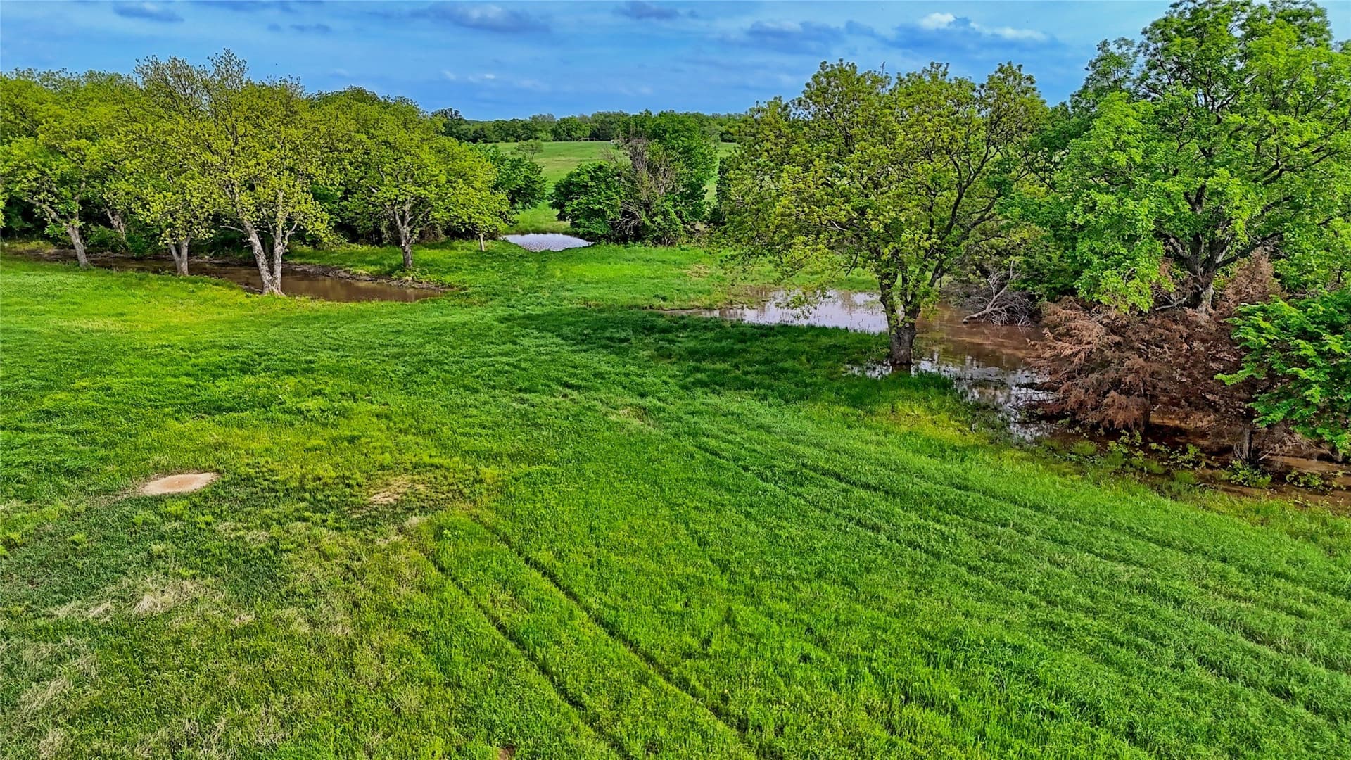 25.88 acres in Montague County - photo 7