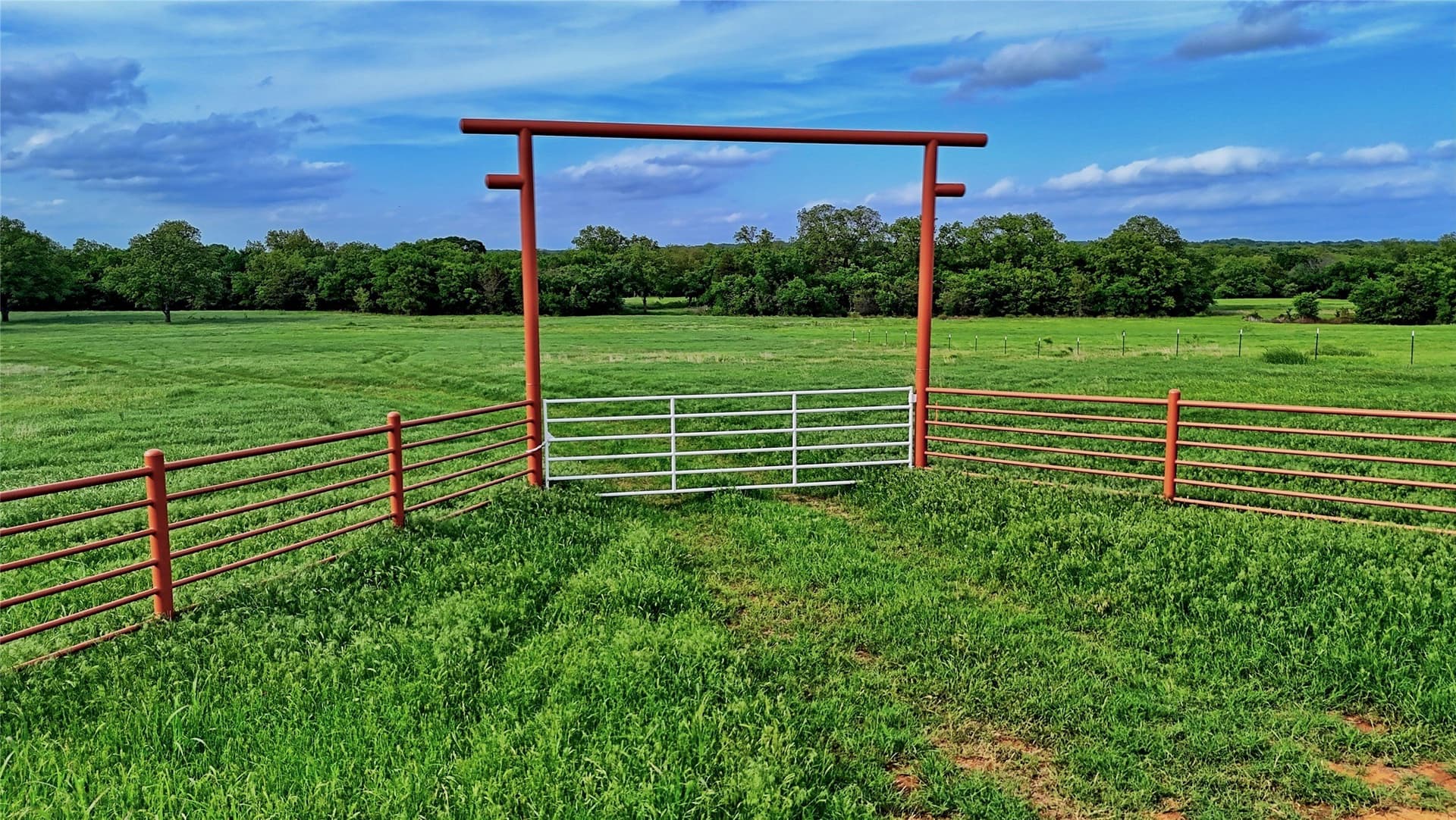 25.88 acres in Montague County - photo 5