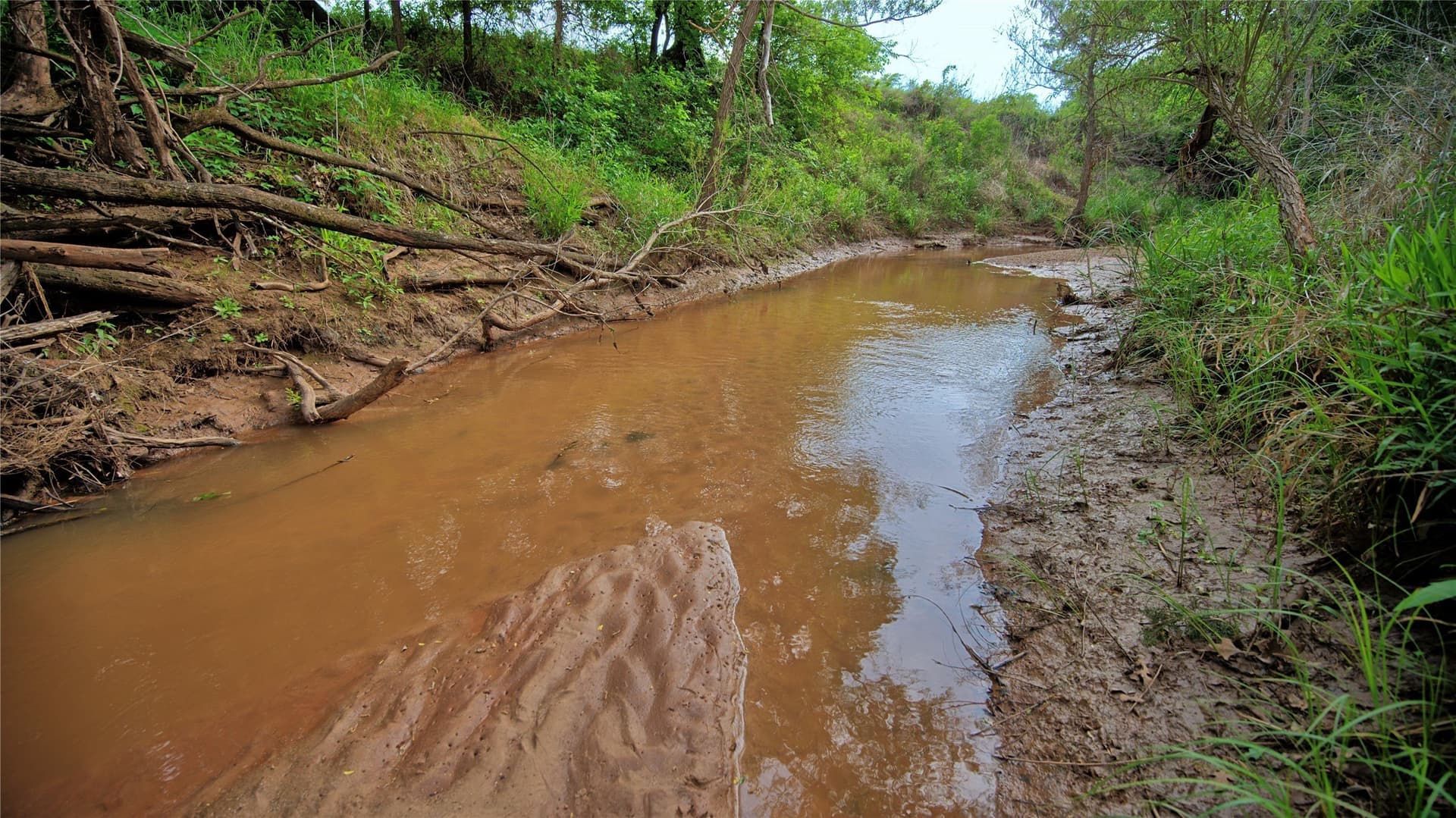 25.88 acres in Montague County - photo 15
