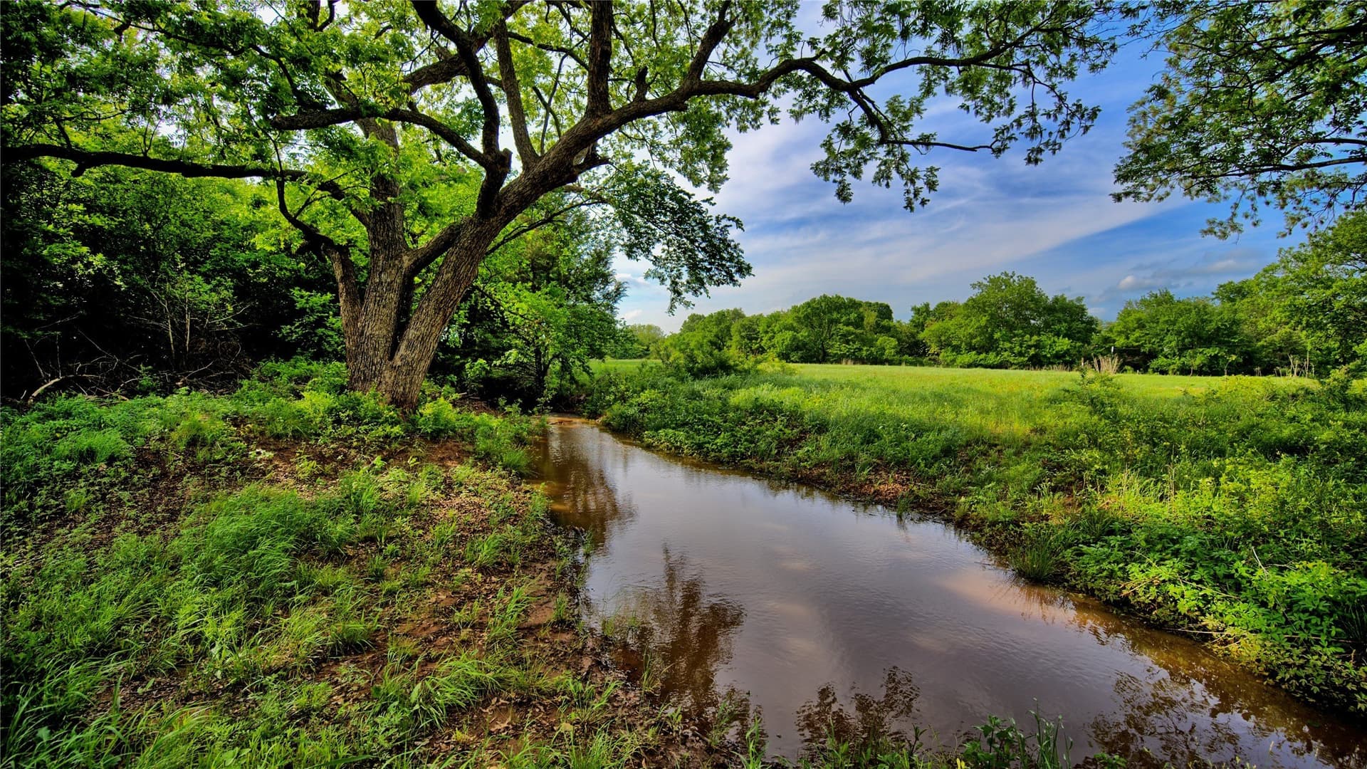 25.88 acres in Montague County - photo 10
