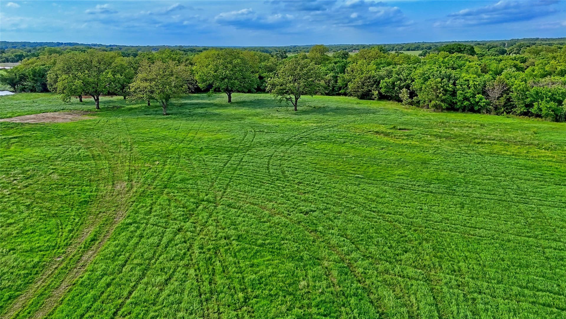 25.88 acres in Montague County - photo 4