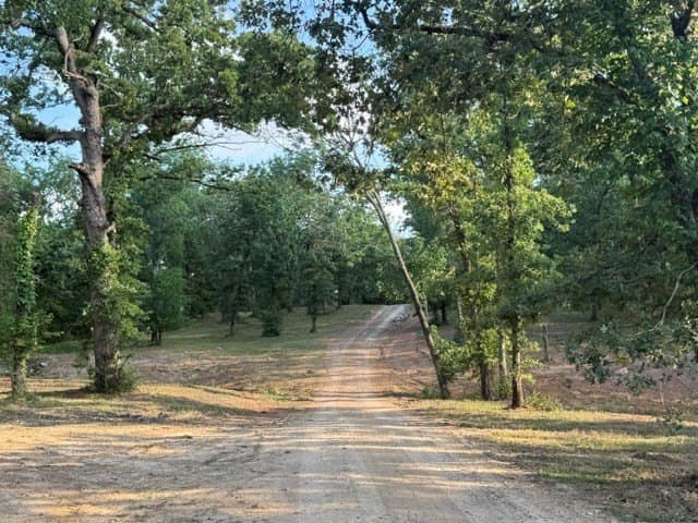 10 acres in Henderson County - photo 21