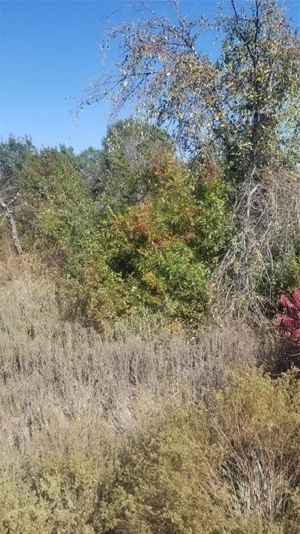 1.25 acres in Parker County gallery image 2