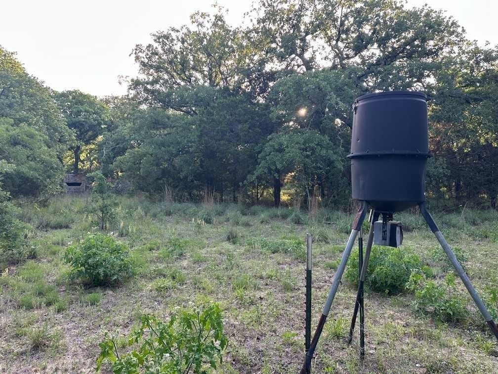 32.35 acres in Coryell County gallery image 4