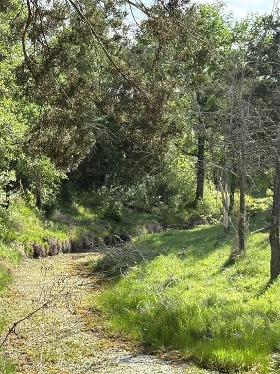 10.01 acres in Comanche County