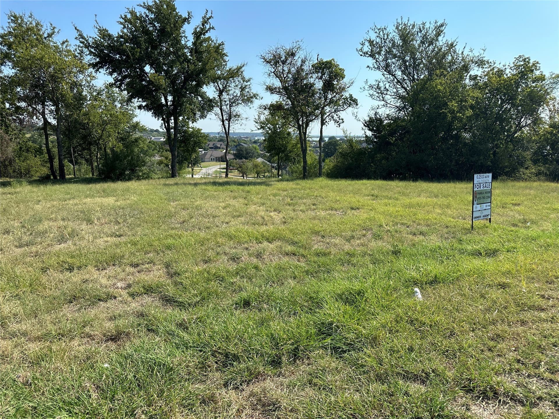 0.25 acres in Wise County - photo 2