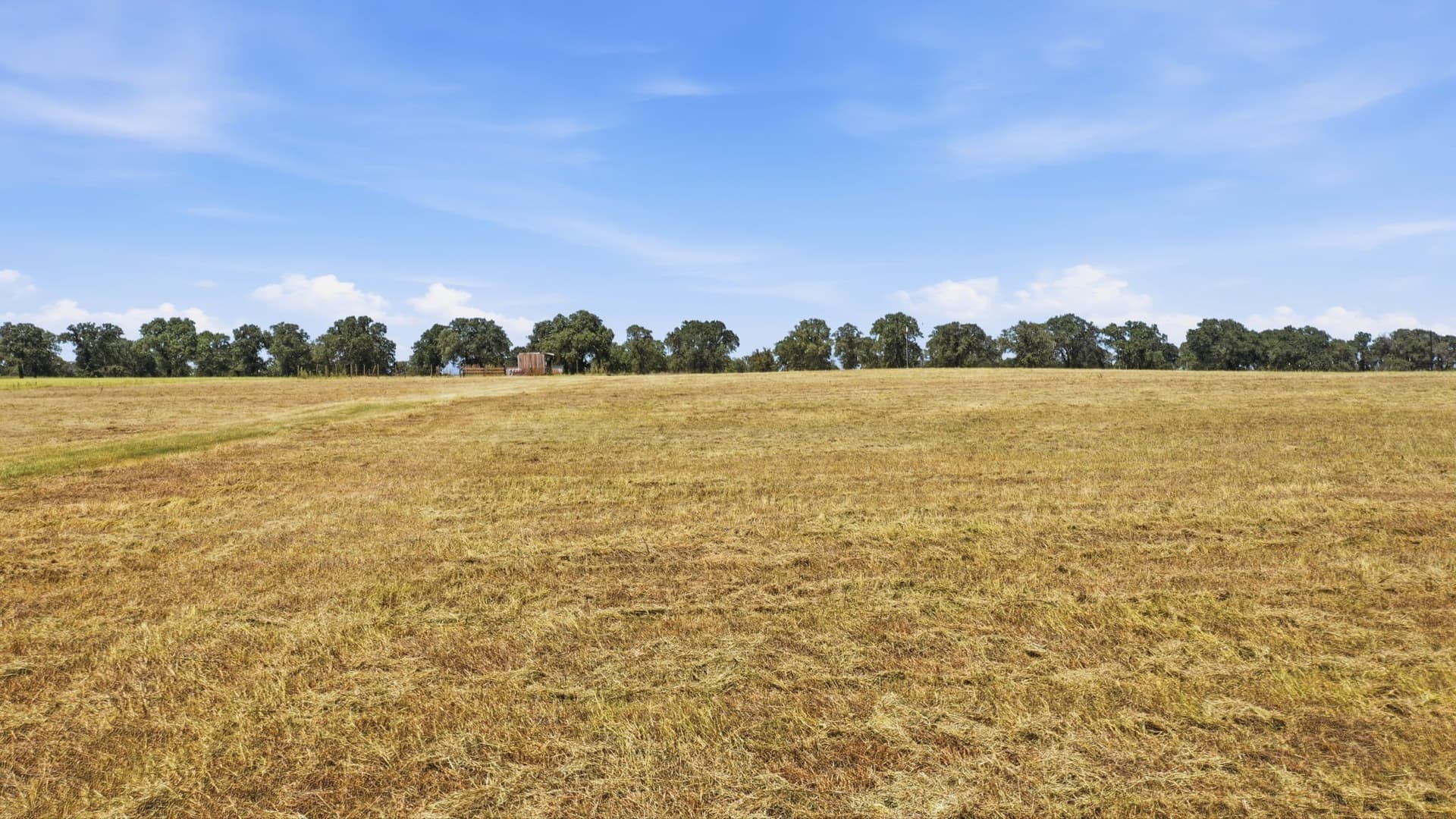 11.09 acres in Comanche County - photo 3
