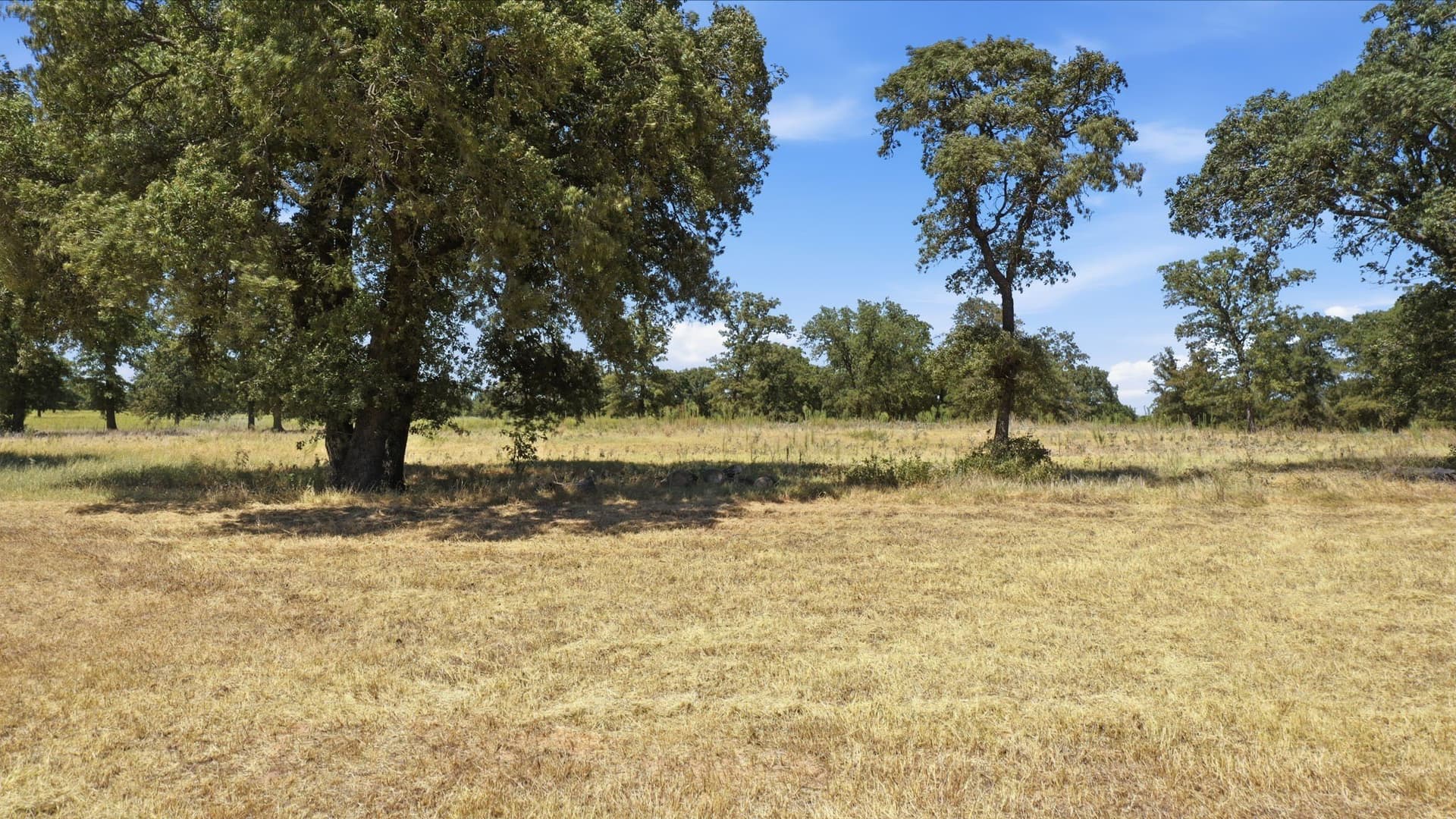 11.09 acres in Comanche County - photo 9