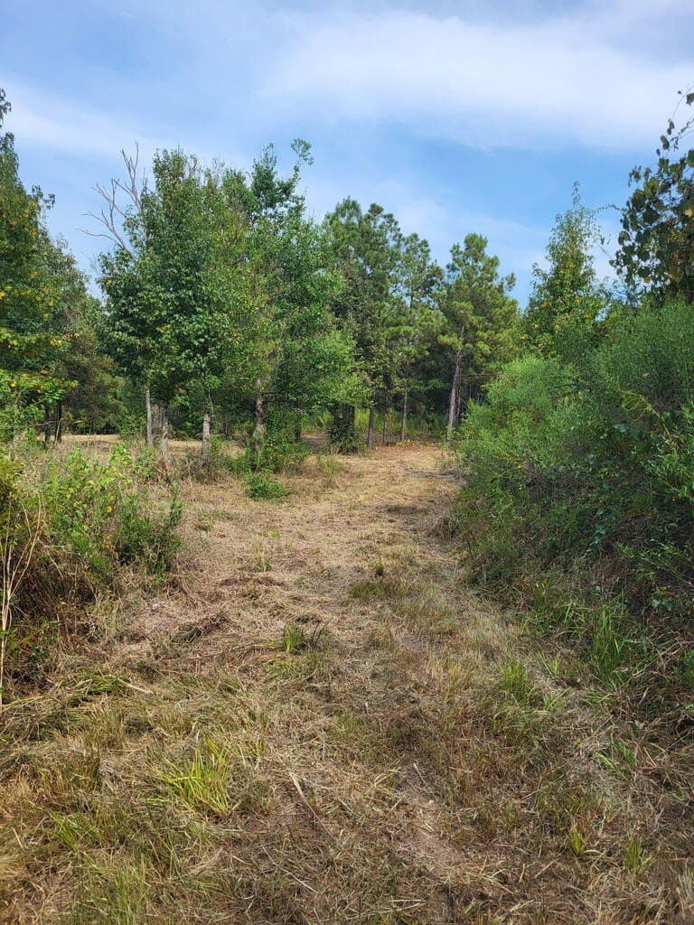 12 acres in Texas County - photo 18