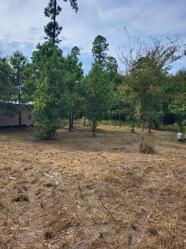 12 acres in Texas County - photo 17