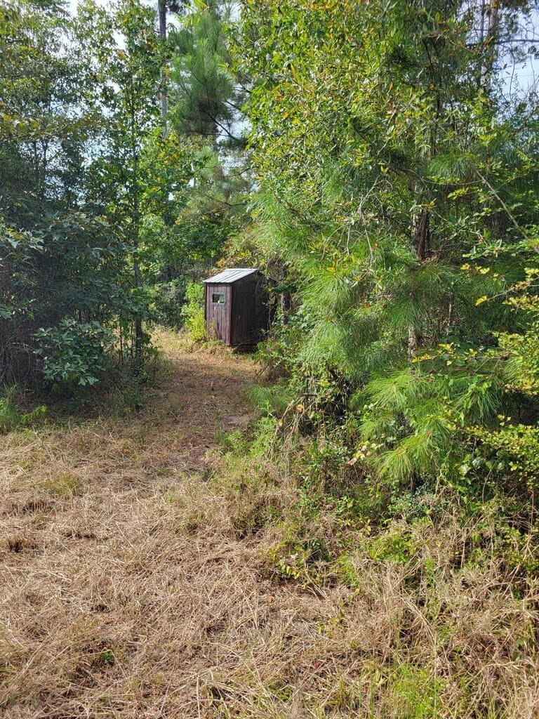 12 acres in Texas County - photo 19