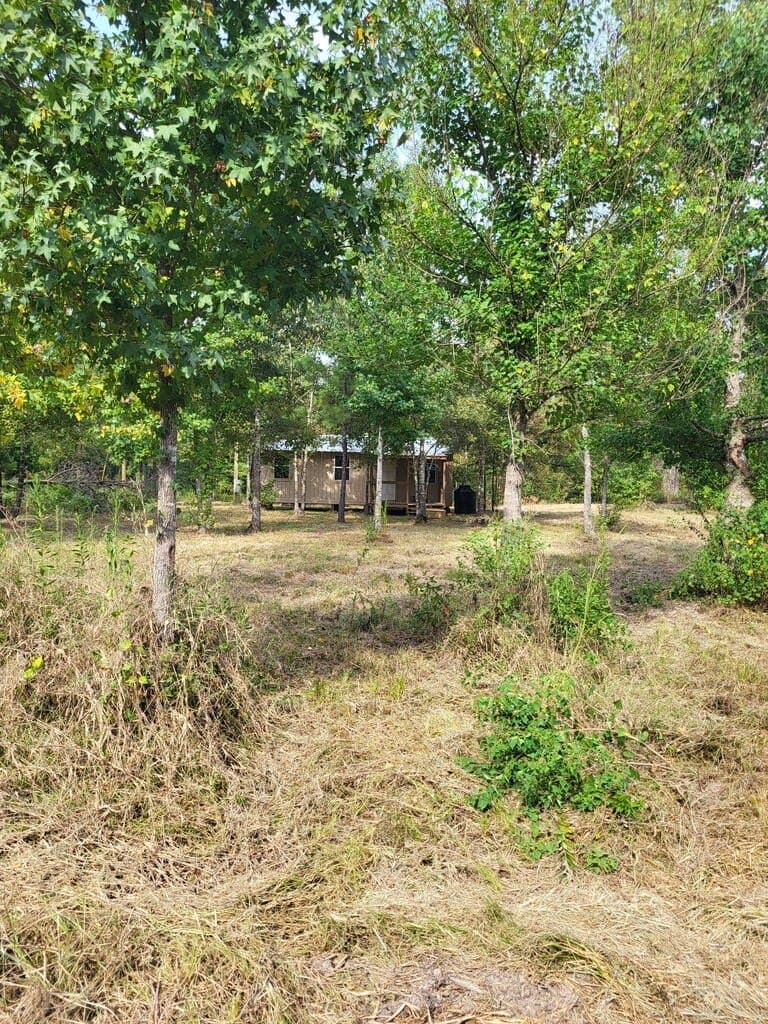 12 acres in Texas County - photo 6
